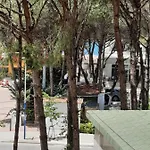 Pine apartments