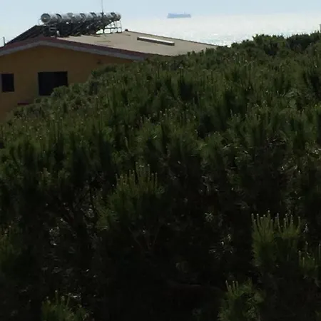 Holiday Apartments Lejlighed