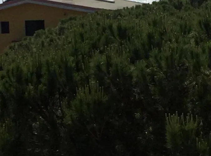 Holiday Apartments Apartment